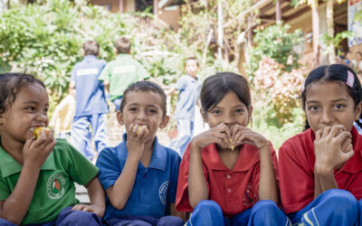 Transforming school communities with healthy food and farming