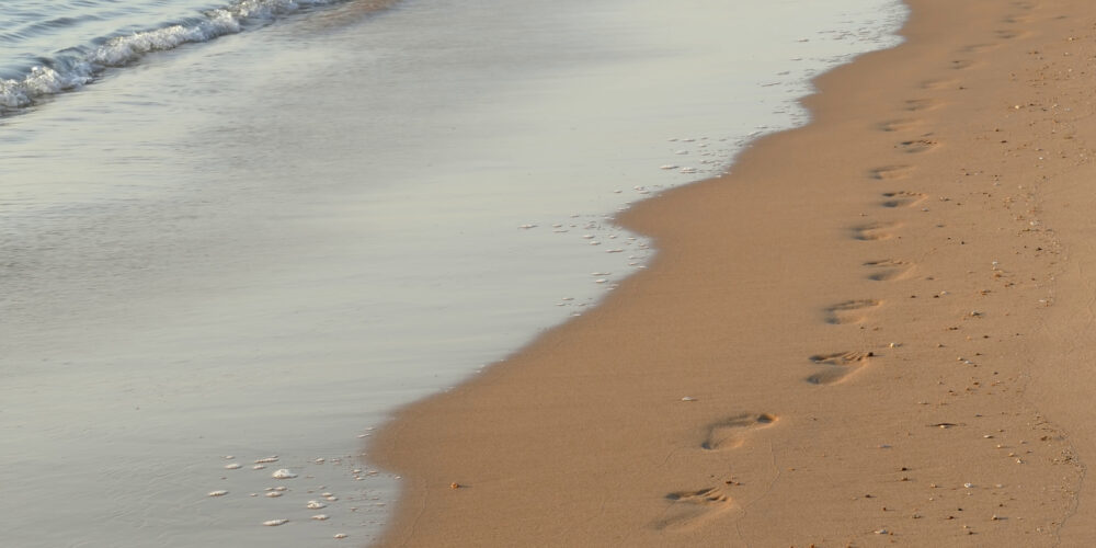 Reimagining Pre K-12 Schools