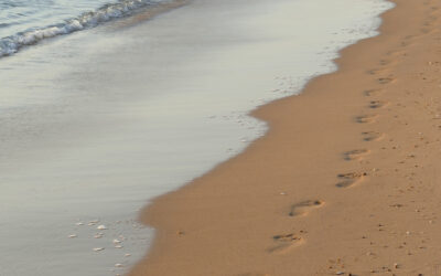 What is your Wellbeing Footprint?