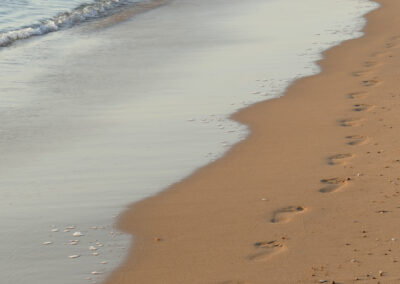 What is your Wellbeing Footprint?