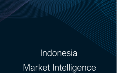 Indonesia International Schools Market Report 2024