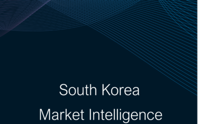 South Korea Market Intelligence Summary Report 2024-25