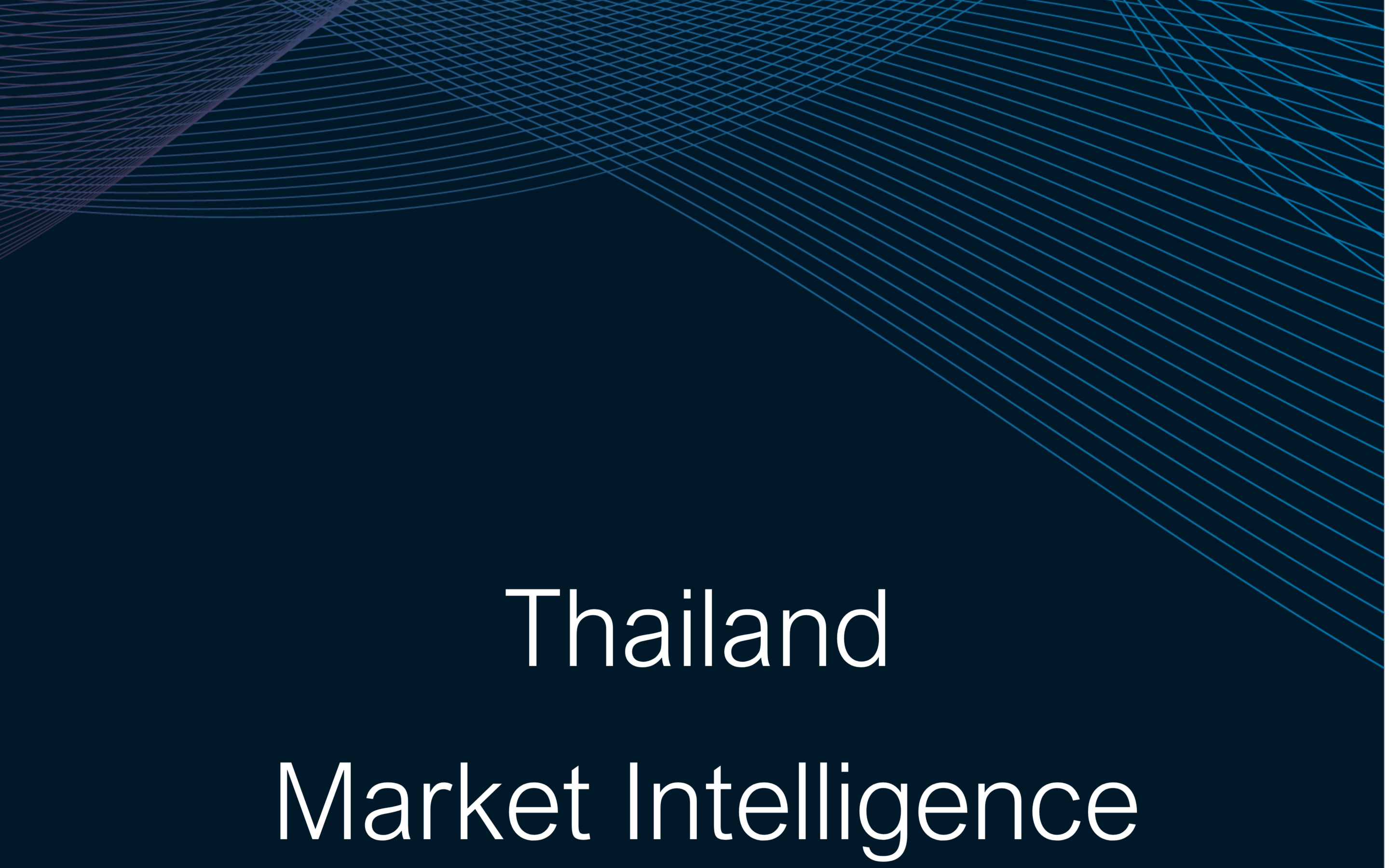 Thailand Market Intelligence Summary Report 2024-25