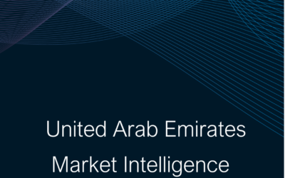 UAE Market Intelligence Summary Report 2024-25