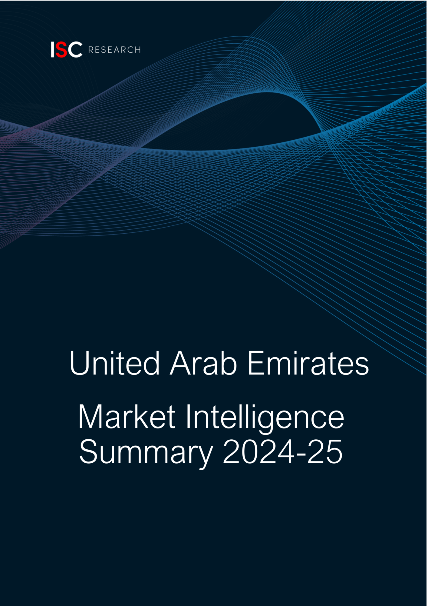 UAE Market Intelligence Summary Report 2024-25