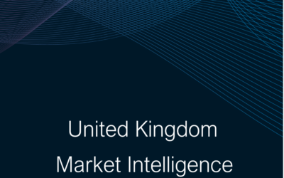 UK Market Intelligence Summary Report 2024-25