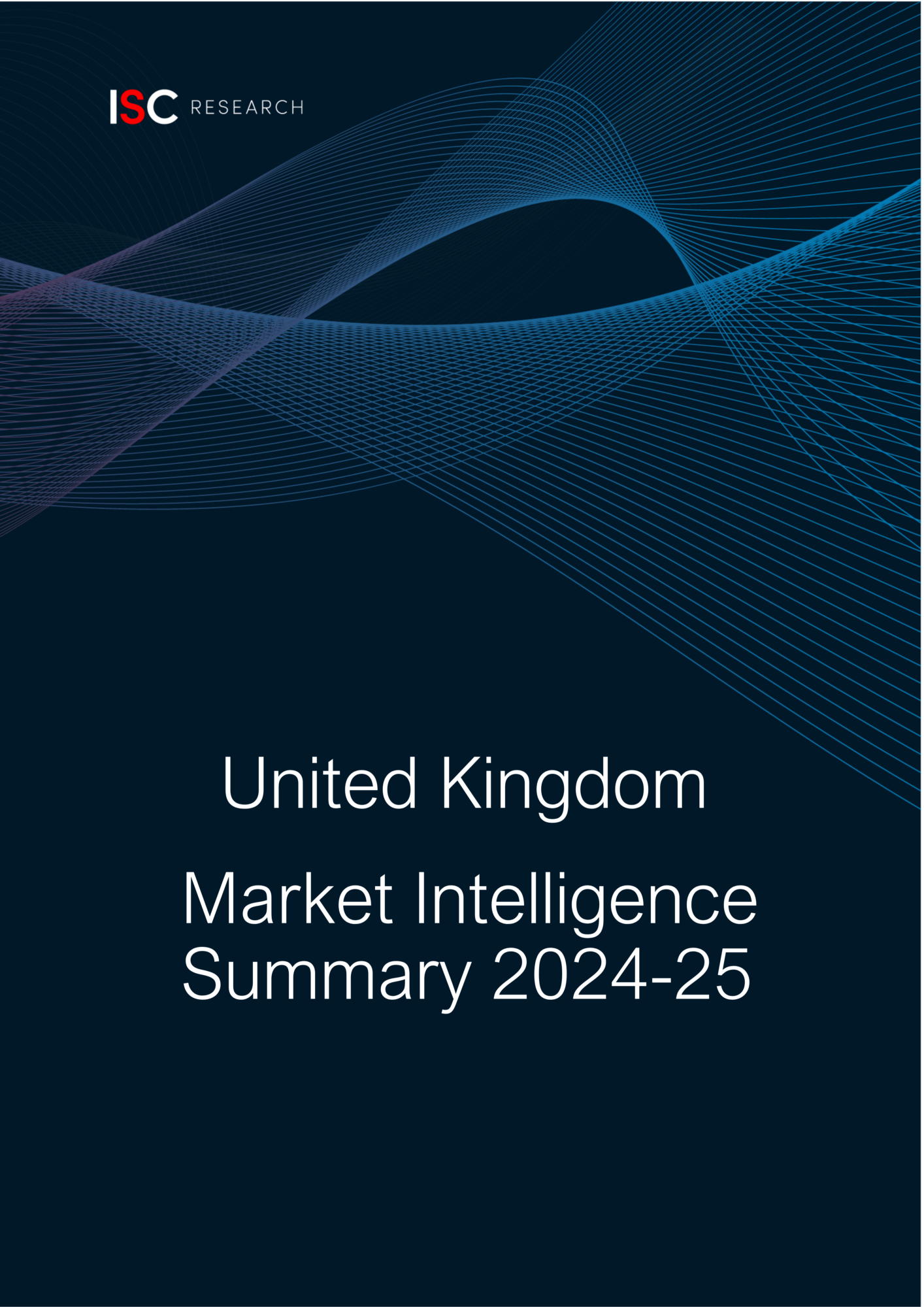 UK Market Intelligence Summary Report 2024-25