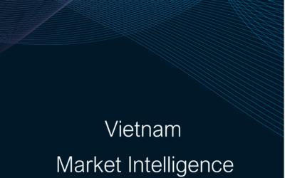 Vietnam Market Intelligence Summary Report 2024-25