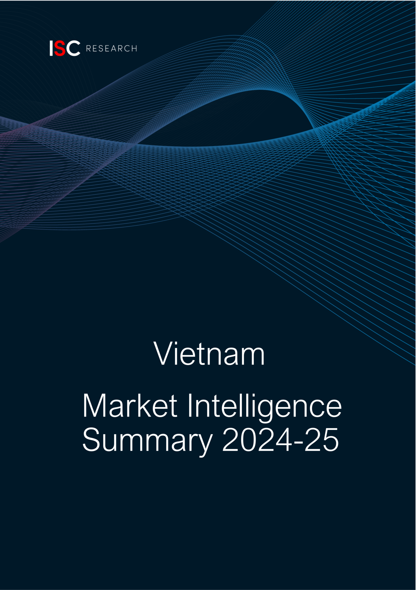 Vietnam Market Intelligence Summary Report 2024-25