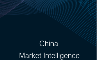 China Market Intelligence Summary Report 2024-25
