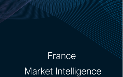 France Market Intelligence Summary Report 2024-25