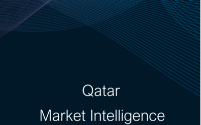 Qatar Market Intelligence Summary 2024-25