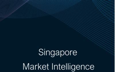 Singapore Market Intelligence Summary 2024-25
