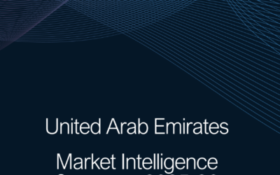 UAE Market Intelligence Summary Report 2025-26